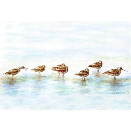 Betsy Drake Betsy Drake DM024 18 x 26 in. Avocets Door Mat DM024